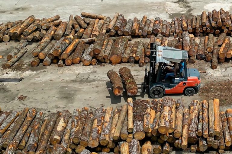 Sawmill 05